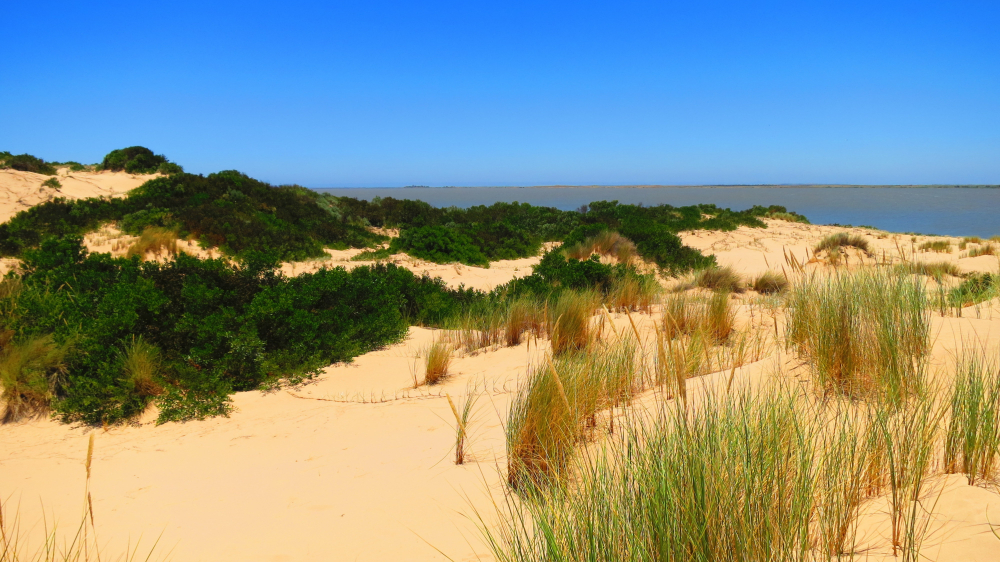 Coorong National Park (Official GANP Park Page)